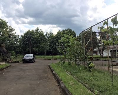 Wisma Hafid Landscape